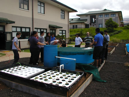 Kamehameha School_Students_final system AquaBioPonics System instalado por estudantes da Kamehameha High School em Maui - Havai - USA