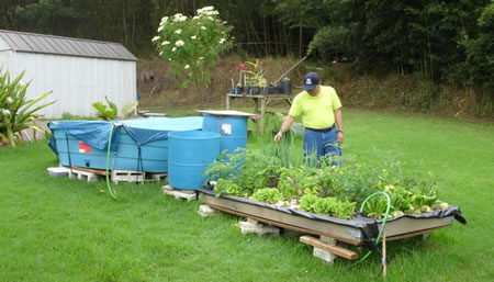 SAAR-aquafuelponics-working-system SAAR-aquafuelponics-working-system