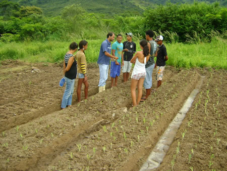 Agro. Andre Rocha em Ação No projeto de Hortas Escolares