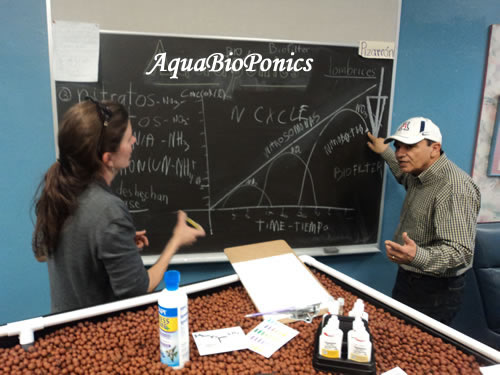 Workshop sobre AquaBioPonics Dado Recentemente pelo Prof Aecio D'Silva na Davis Magnetic School, Tucson, Arizona, USA.