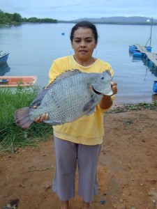 Senhorita Ivone com Tilápia Cultivada na Associação de Jovens Criadores de Peixes em Tanques Rede de Jatobá Pernambuco-Brasil