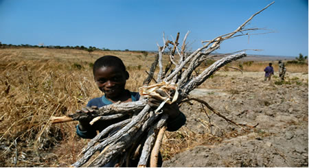 Criança carregando lenha - Aproximadamente 35% da energia provém de biomassa tradicional. Em algumas partes da África, esses índices atingem 90%.