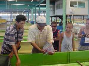 Estacão de Produção de Alevinos no Polo de Aquacultura de Paulo-Afonso - Jatobá - Itacuruba