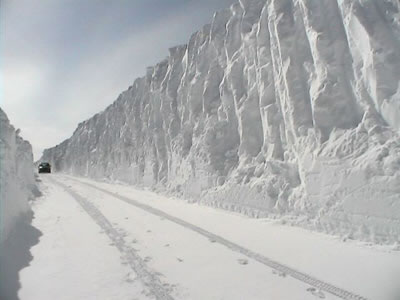 Nevasca nas Estradas do Norte de Michigan