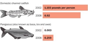 Consumo de Catfish-Pangasius nos USA entre 2002-2008