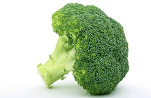 Brócolis – O Perfeito Alimento