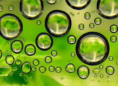 Algas biocombostíveis