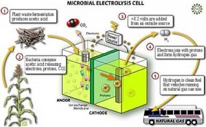 Células de Combustível Microbianas - Diagrama