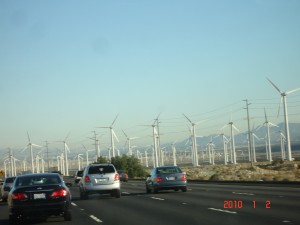 Energia Eólica - Floresta de Turbinas na California