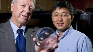 Nanotecnologia - Cientistas da Rice University Ned Thomas e Jae Hwang Lee com o material que parou três balas (Crédito: Rice University)