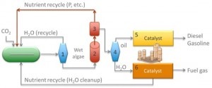 Biocombustíveis Diretos de Algas - Esquema do Processo Utilizando o Crescimento de Algas e Tratamento Hidrotérmico para Combustível (Fonte: PNNL)