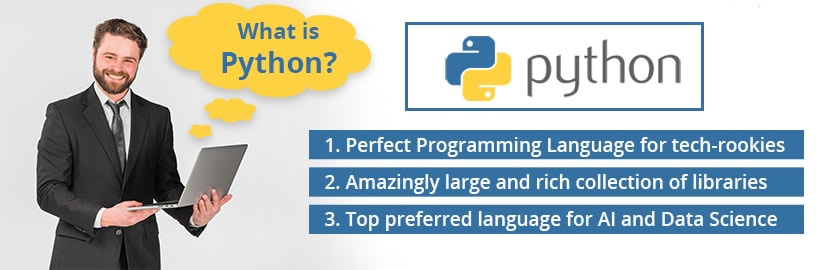 Por que aprender Python?