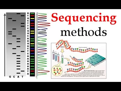 AI Empowering Genetic Sequencing