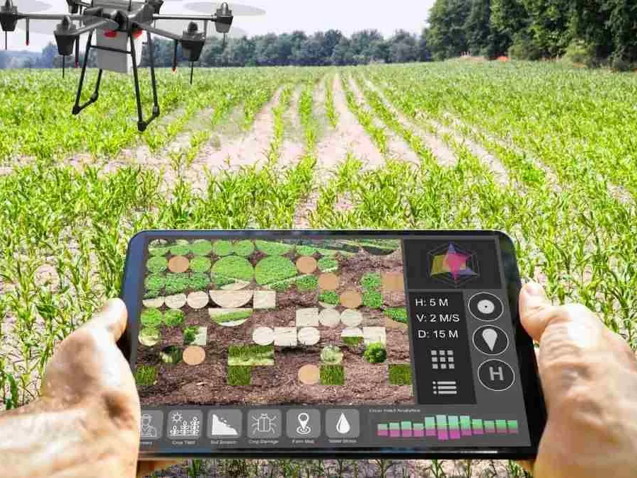 Inteligência Artificial e Agricultura de Precisão