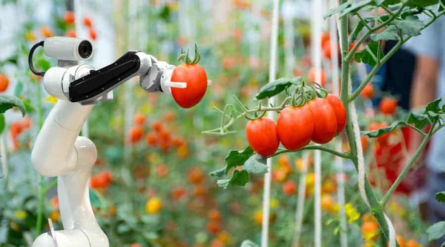 Inteligência Artificial e Agricultura de Precisão