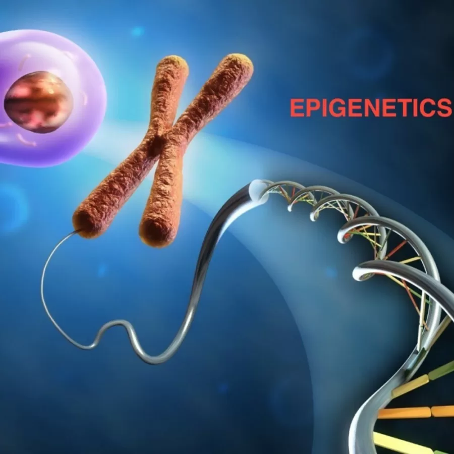 compreendendo epigeneticas