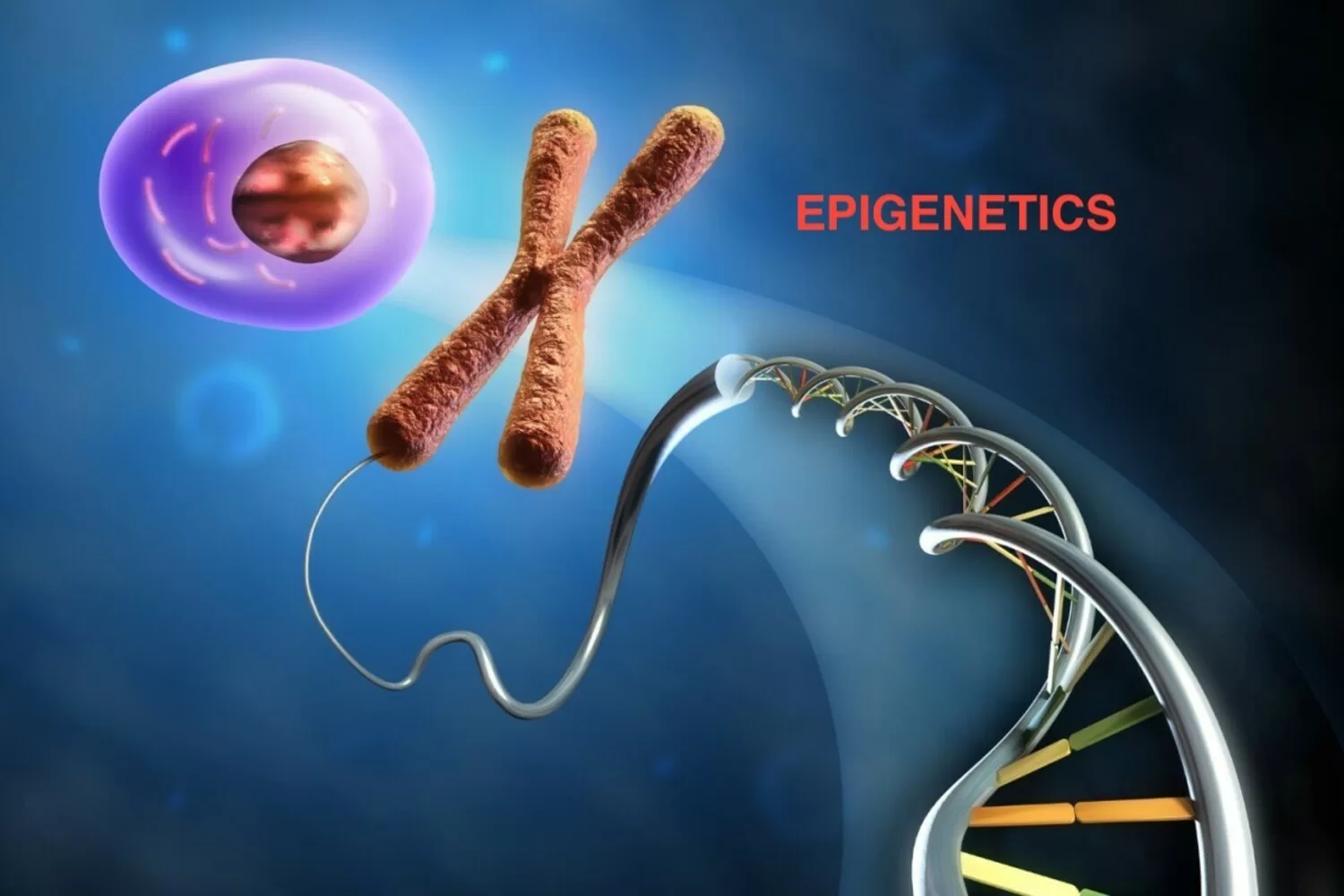 compreendendo epigeneticas