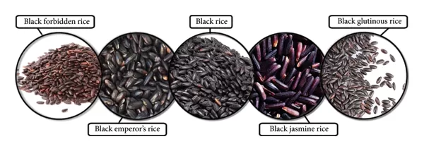 Black-red-rices
