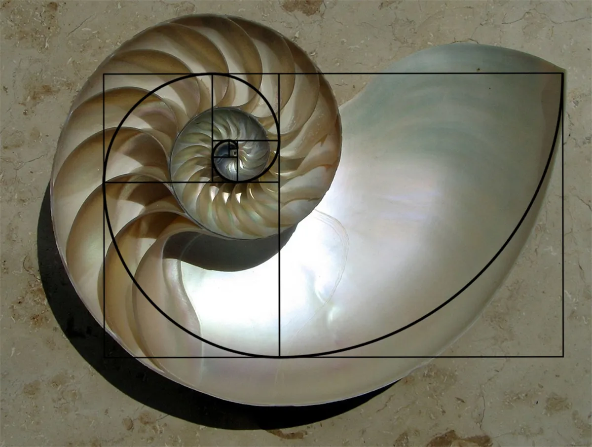 Golden Ratio and Fibonacci Sequence