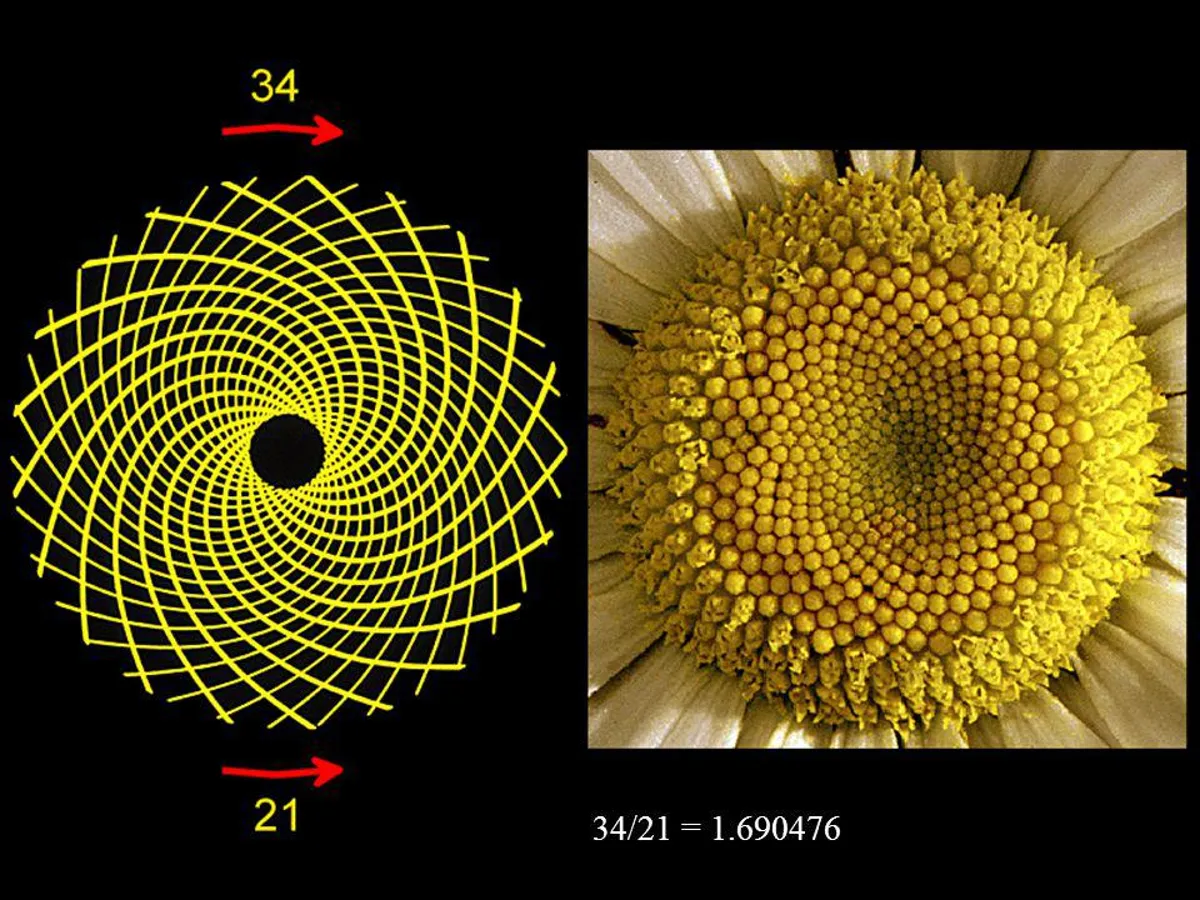 Sequência De Fibonacci