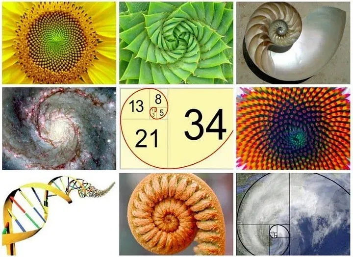 Golden Ratio and Fibonacci Sequence